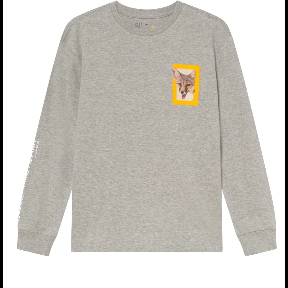 Gap NWT XL (12) grey long-sleeved top.  Kit fox